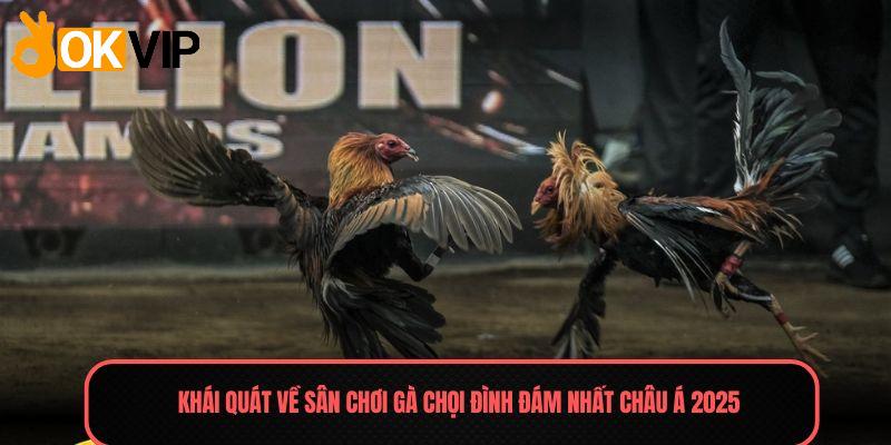 Khái quát về sân chơi gà chọi đình đám nhất châu Á 2025
